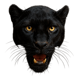 Panthers