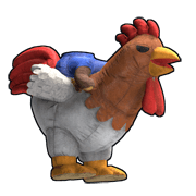 Chicken costume